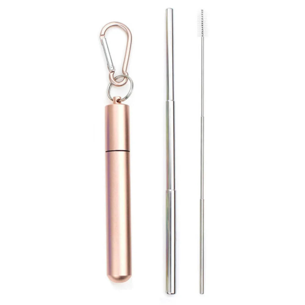 'Straw Stopper' Reusable Metal Straw